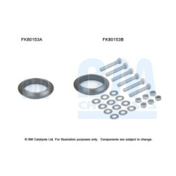 Catalytic Converter Fitting Kit BM CATALYSTS FK80153