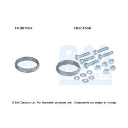 Catalytic Converter Fitting Kit BM CATALYSTS FK80155
