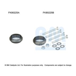 Catalytic Converter Fitting Kit BM CATALYSTS FK80225