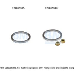 Catalytic Converter Fitting Kit BM CATALYSTS FK80253