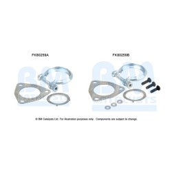 Catalytic Converter Fitting Kit BM CATALYSTS FK80259