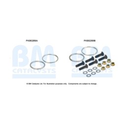 Catalytic Converter Fitting Kit BM CATALYSTS FK80289