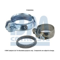 Catalytic Converter Fitting Kit BM CATALYSTS FK80293