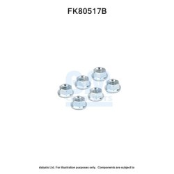 Catalytic Converter Fitting Kit BM CATALYSTS FK80517