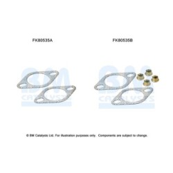 Catalytic Converter Fitting Kit BM CATALYSTS FK80535