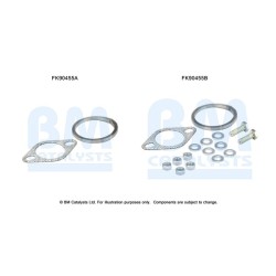 Catalytic Converter Fitting Kit BM CATALYSTS FK90455