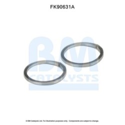 Catalytic Converter Fitting Kit BM CATALYSTS FK90631