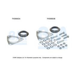 Catalytic Converter Fitting Kit BM CATALYSTS FK90663