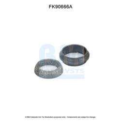 Catalytic Converter Fitting Kit BM CATALYSTS FK90666