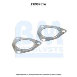 Catalytic Converter Fitting Kit BM CATALYSTS FK90751