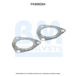 Catalytic Converter Fitting Kit BM CATALYSTS FK90829