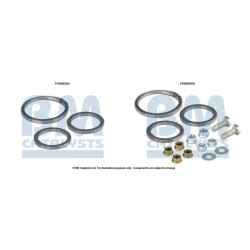 Catalytic Converter Fitting Kit BM CATALYSTS FK90856