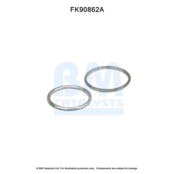 Catalytic Converter Fitting Kit BM CATALYSTS FK90862