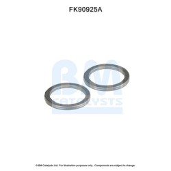 Catalytic Converter Fitting Kit BM CATALYSTS FK90925