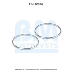 Catalytic Converter Fitting Kit BM CATALYSTS FK91218