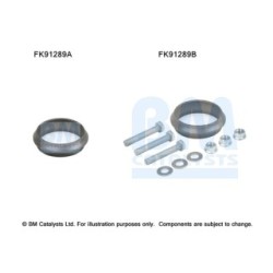 Catalytic Converter Fitting Kit BM CATALYSTS FK91289