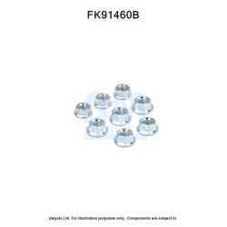 Catalytic Converter Fitting Kit BM CATALYSTS FK91460