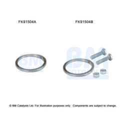 Catalytic Converter Fitting Kit BM CATALYSTS FK91504