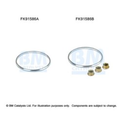 Catalytic Converter Fitting Kit BM CATALYSTS FK91586