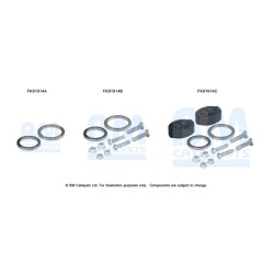 Catalytic Converter Fitting Kit BM CATALYSTS FK91914 BM CATALYSTS