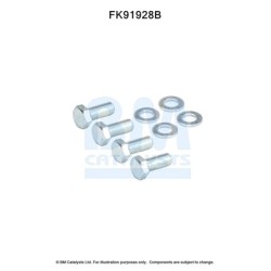 Catalytic Converter Fitting Kit BM CATALYSTS FK91928