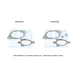 Catalytic Converter Fitting Kit BM CATALYSTS FK91974