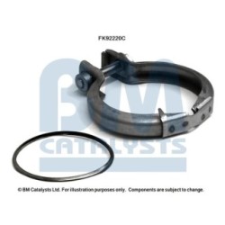 Catalytic Converter Fitting Kit BM CATALYSTS FK92220 BM CATALYSTS
