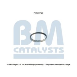 Catalytic Converter Fitting Kit BM CATALYSTS FK92374 BM CATALYSTS