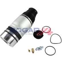 V-ribbed Belt Tensioner BOGAP A1317133 OE Ref 06H903133F