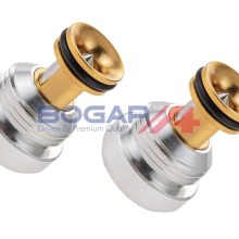 Oil Pressure Regulating Valve BOGAP A1338113 OE Ref 059103175F