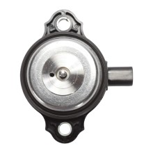 Camshaft Adjustment Central Magnet BOGAP A1362100 OE Ref 0PB109259C BOGAP