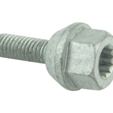 Screw BOGAP A1932102 OE Ref WHT001163B