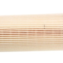 Fuel Filter BOGAP A8110120 OE Ref 2559747 BOGAP