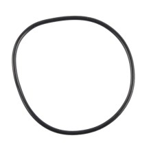 Seal Ring BOGAP B1928101 OE Ref 07119903596