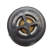 Oil Cooling Thermostat BOGAP B4264101 OE Ref 17113438717 BOGAP