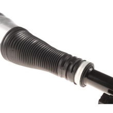 Air Suspension Strut BOGAP C3426133 OE Ref 2223205313 BOGAP
