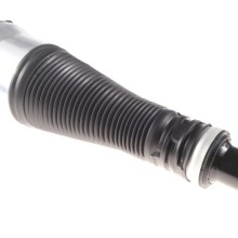 Air Suspension Strut BOGAP C3426134 OE Ref 2223205213 BOGAP