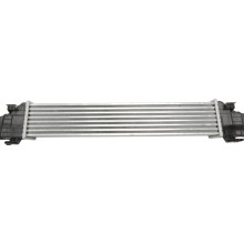 Intercooler BOGAP C4220110 OE Ref 2115001102 BOGAP