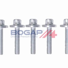 Automatic Transmission Oil Tray Bolt Set BOGAP C6521100 OE Ref 0029909