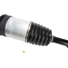 Air Suspension Strut BOGAP E3426103 OE Ref RPD501090
