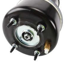 Air Suspension Strut BOGAP E3426104 OE Ref C2C20162 BOGAP