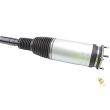 Air Suspension Strut BOGAP E3426108 OE Ref LR081560