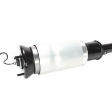 Air Suspension Strut BOGAP E3426109 OE Ref LR018172