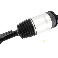 Air Suspension Strut BOGAP E3426110 OE Ref LR023234