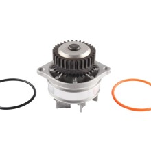 Engine Cooling Water Pump BOGAP N4234101 OE Ref 210107Y00A