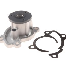 Engine Cooling Water Pump BOGAP N4234103 OE Ref 2002000001