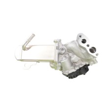 EGR Valve BOGAP P6320106 OE Ref 1618KL BOGAP