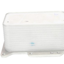 Engine Oil Cooler BOGAP R4222102 OE Ref 1520000Q0L BOGAP