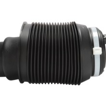 Suspension Air Spring BOGAP T3432101 OE Ref 4808035010 BOGAP