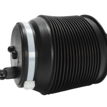 Suspension Air Spring BOGAP T3432103 OE Ref 4808060010